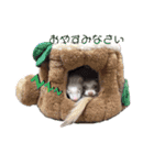 友達のフェレット（個別スタンプ：13）