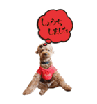 まさおじさん2（個別スタンプ：2）