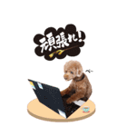 まさおじさん2（個別スタンプ：3）