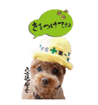 まさおじさん2（個別スタンプ：7）