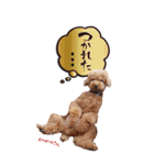 まさおじさん2（個別スタンプ：11）