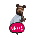 まさおじさん2（個別スタンプ：15）