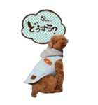 まさおじさん2（個別スタンプ：19）