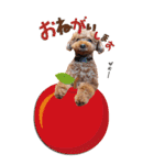まさおじさん2（個別スタンプ：24）