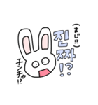 韓国語が話せるうさぎ"ピチャ‼️"（個別スタンプ：11）