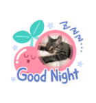 ぜ〜んぶのの♡（個別スタンプ：5）