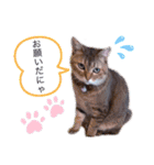 ゆりさんのスタンプです。（個別スタンプ：14）
