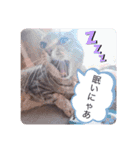 ゆりさんのスタンプです。（個別スタンプ：16）