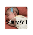 斯波の子孫3（個別スタンプ：1）