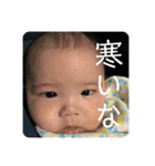 斯波の子孫3（個別スタンプ：10）