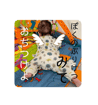 斯波の子孫3（個別スタンプ：16）