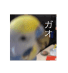 毎日ちょぴん（個別スタンプ：6）