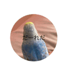 毎日ちょぴん（個別スタンプ：7）