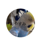 毎日ちょぴん（個別スタンプ：9）