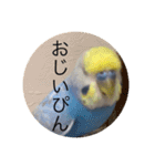 毎日ちょぴん（個別スタンプ：10）