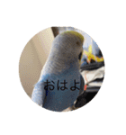 毎日ちょぴん（個別スタンプ：14）
