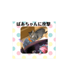 うちの猫ちゃんたち！（個別スタンプ：19）