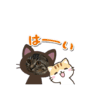 うちの猫ちゃんたち！（個別スタンプ：23）