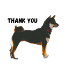 黒柴犬 Schwarz（個別スタンプ：14）