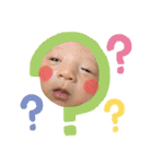ふうたん( *¯ ꒳¯*)②（個別スタンプ：1）