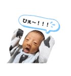 ふうたん( *¯ ꒳¯*)②（個別スタンプ：4）