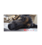 こゆき生活（個別スタンプ：2）