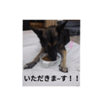 こゆき生活（個別スタンプ：4）