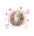 じぇるみとみぃ☆（個別スタンプ：15）