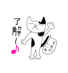 ときどき使えるねこさん（個別スタンプ：4）