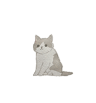 やる気のでない猫ちゃん（個別スタンプ：1）
