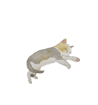 やる気のでない猫ちゃん（個別スタンプ：2）