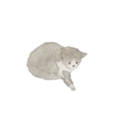 やる気のでない猫ちゃん（個別スタンプ：4）