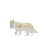 やる気のでない猫ちゃん（個別スタンプ：8）