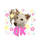 諭吉English（個別スタンプ：3）