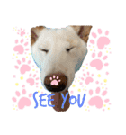 諭吉English（個別スタンプ：9）