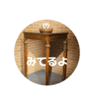 マルプーのむぎたくん（個別スタンプ：25）
