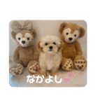 マルプーのむぎたくん（個別スタンプ：37）
