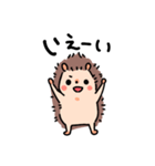 つんでれハリネズミ（個別スタンプ：1）