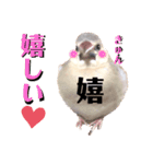 日々、文鳥。①（個別スタンプ：8）
