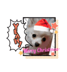 LUNA＆SEAの可愛い会話(Xmas ver.)（個別スタンプ：2）