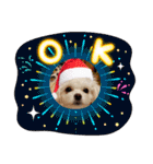 LUNA＆SEAの可愛い会話(Xmas ver.)（個別スタンプ：3）