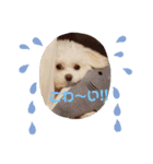 LUNA＆SEAの可愛い会話(Xmas ver.)（個別スタンプ：10）