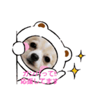 LUNA＆SEAの可愛い会話(Xmas ver.)（個別スタンプ：15）
