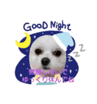 LUNA＆SEAの可愛い会話(Xmas ver.)（個別スタンプ：17）