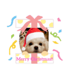 LUNA＆SEAの可愛い会話(Xmas ver.)（個別スタンプ：18）