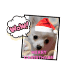 LUNA＆SEAの可愛い会話(Xmas ver.)（個別スタンプ：19）