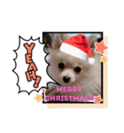 LUNA＆SEAの可愛い会話(Xmas ver.)（個別スタンプ：20）