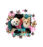 LUNA＆SEAの可愛い会話(Xmas ver.)（個別スタンプ：22）