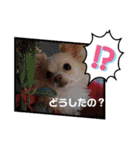 LUNA＆SEAの可愛い会話(Xmas ver.)（個別スタンプ：26）