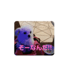 LUNA＆SEAの可愛い会話(Xmas ver.)（個別スタンプ：27）
